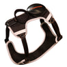 Rockworkx Free Run Pet Harness with Leash rockworkx